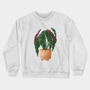 Begonia Maculata 5 Crewneck Sweatshirt